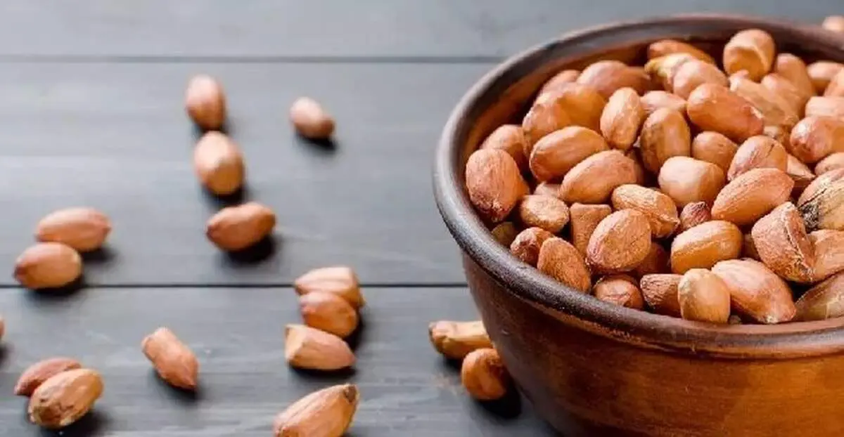 تأثیر شگفت‌انگیز مصرف روزانه بادام‌زمینی بر عملکرد مغز