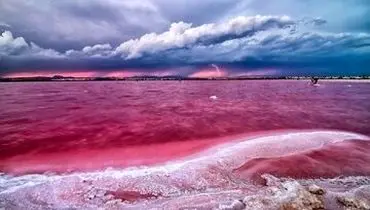 سامبهار؛ شگفتی نمکی هند و بزرگ‌ترین معدن حیات‌بخش نمک کش+فیلم