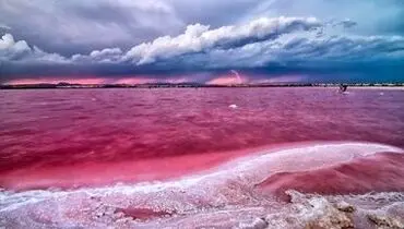 سامبهار؛ شگفتی نمکی هند و بزرگ‌ترین معدن حیات‌بخش نمک کش+فیلم