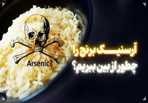 4 روش‌ ساده برای کاهش آرسنیک در برنج
