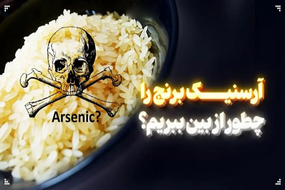 4 روش‌ ساده برای کاهش آرسنیک در برنج
