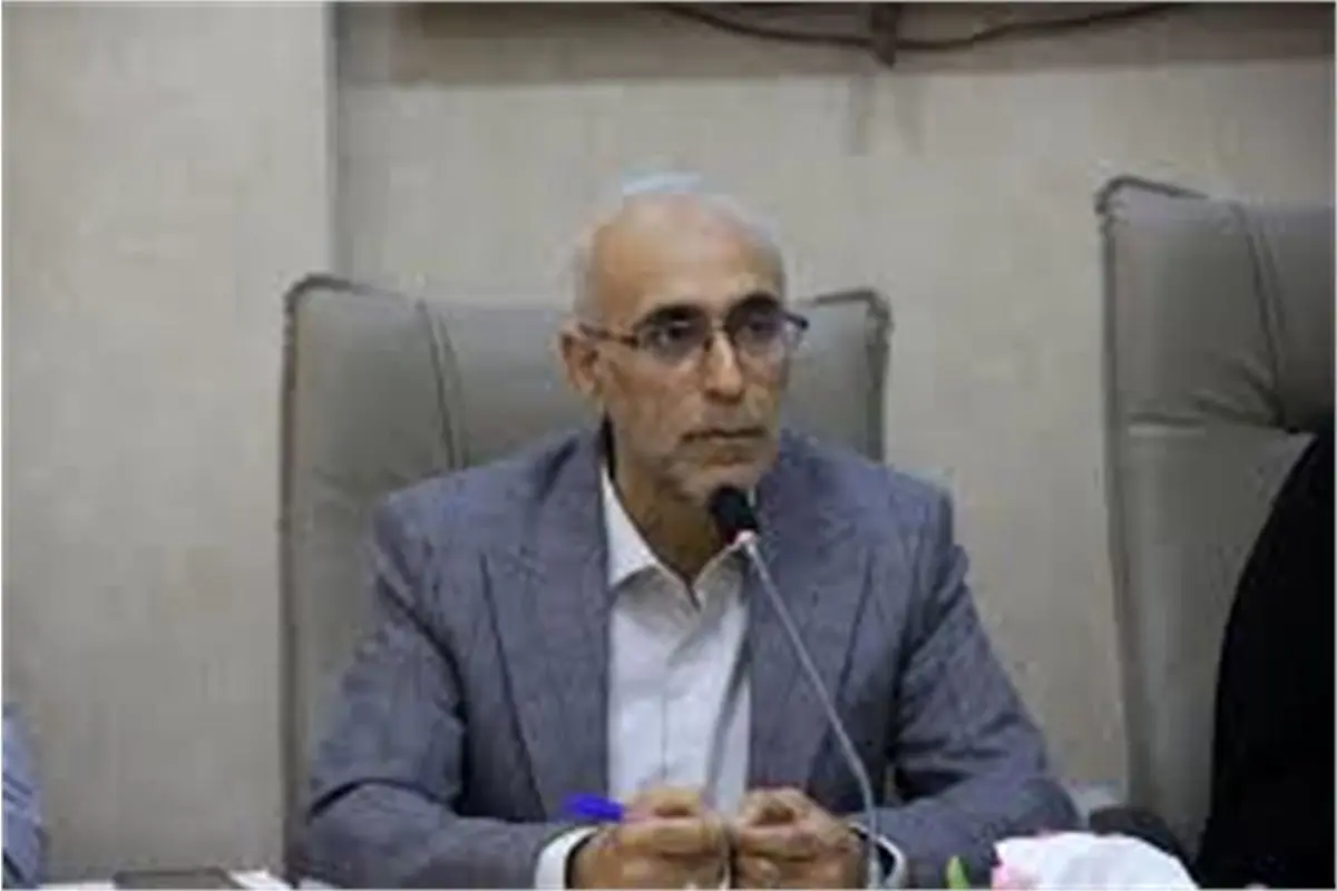 توضیحات مدیرکل مطبوعات داخلی درباره هدیه روز خبرنگار