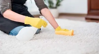 چطور بوی شیر را از فرش محو کنیم؟ 
