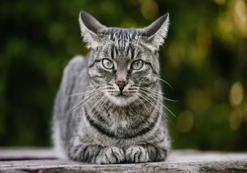 تکنیک هایی برای تقویت مهارت تاب آوری
