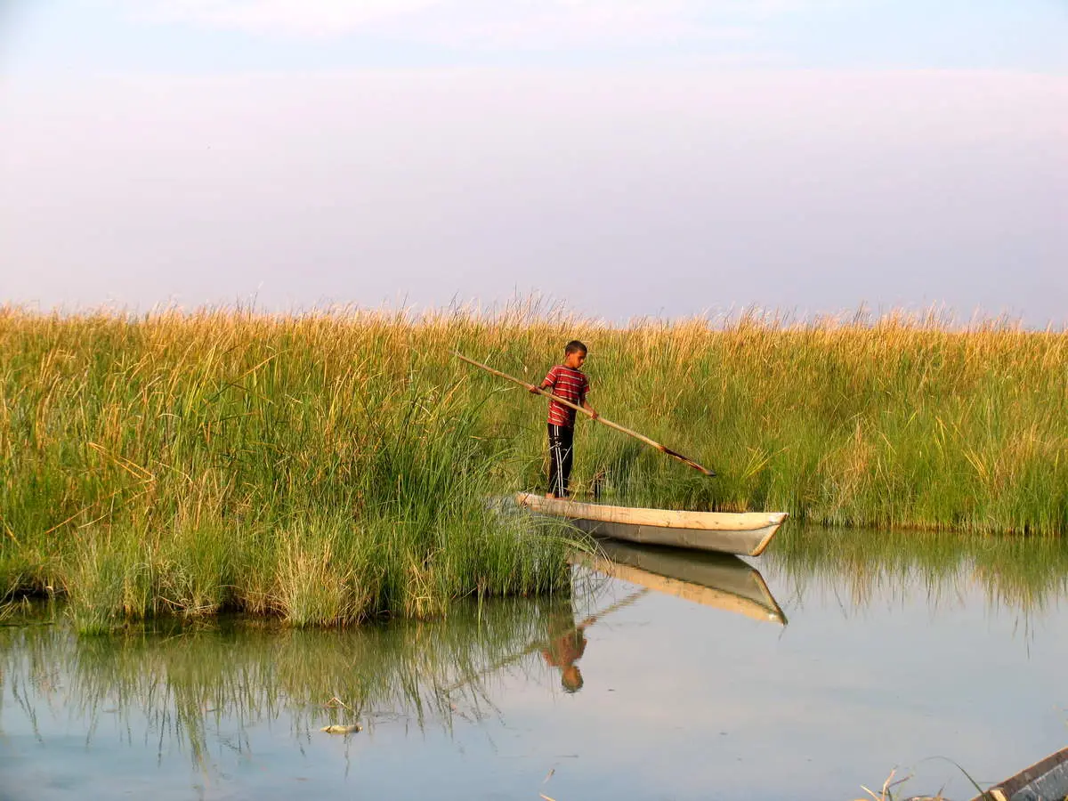 ۵۸ درصد تالاب شادگان خشک شده است