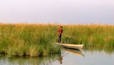 ۵۸ درصد تالاب شادگان خشک شده است