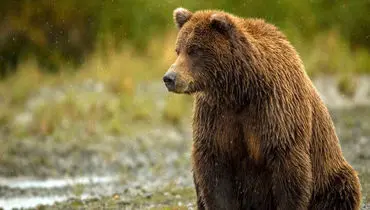 طبیعت‌گرد‌ها این توصیه را جدی بگیرند