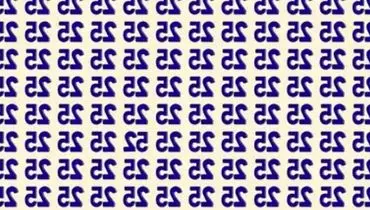 تست IQ بصری: فقط نابغه‌ها «۵۲» وارونه را سریع پیدا می‌کنند!