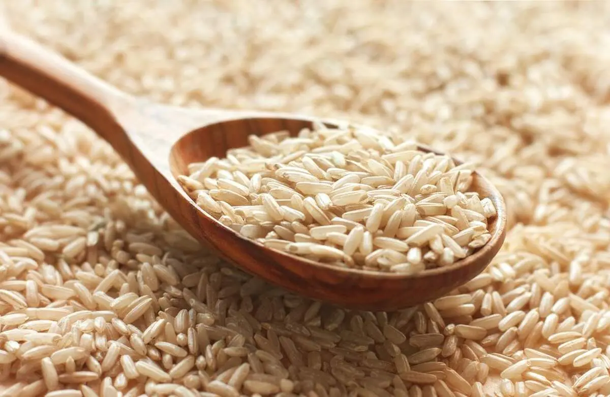 قیمت جدید انواع برنج  هندی و پاکستانی