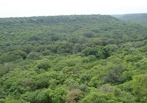 با دیدن این فیلم دیگر اطلاعات شخصیتان را درفضای مجازی منتشر نمی کنید+ فیلم