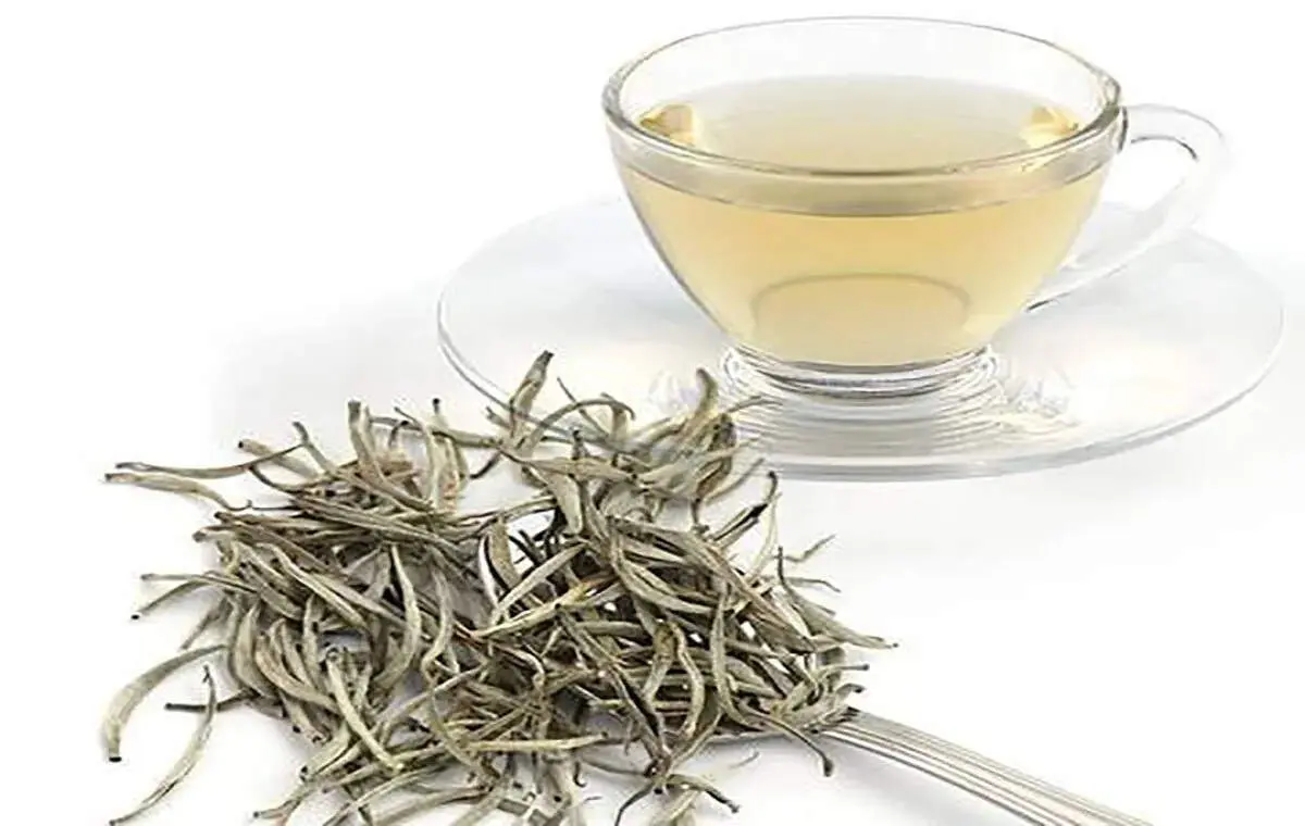 چای سفید اکسیر جوانی و لاغری