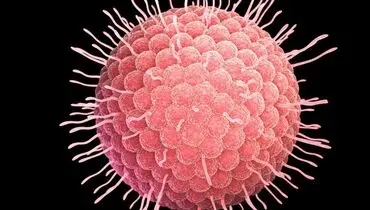 افزایش هفت برابری ابتلا کودکان به این بیماری عفونی و واگیردار