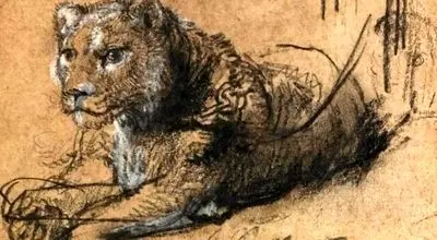 «شیر جوان» رامبرانت در مسیر تاریخ‌سازی؛ طراحی کمیاب در آستانه فروش ۲۰ میلیون دلاری+عکس