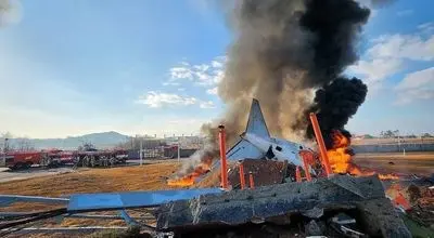 سقوط هواپیمای مسافربری با ۸۰ سرنشین + فیلم