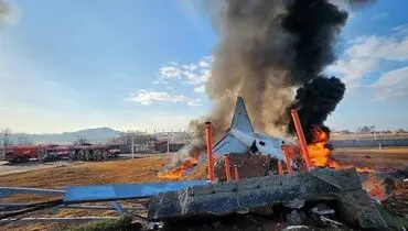 سقوط هواپیمای مسافربری با ۸۰ سرنشین + فیلم
