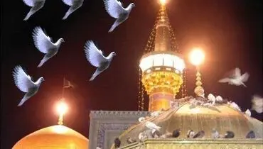  تلاش مردم برای نجات کبوتران از زیر بارش تگرگ مشهد+ فیلم