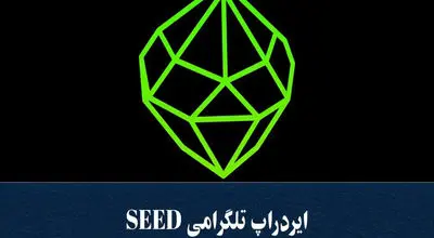 تسک یوتیوب Seed امروز 6 آذر 1403