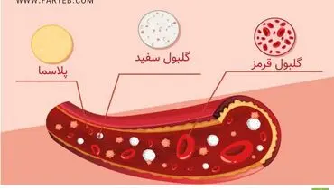 غلظت خون را با آب درمان کنید: ساده و مؤثر!

