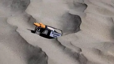سیگار کشیدن در سواحل و پارک های فرانسه ممنوع شد