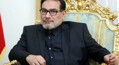 علی شمخانی و پسرش در یک خودروی خاص/عکس