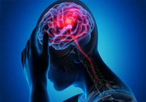جلوگیری از بروز سکته با خوردن این مواد غذایی
