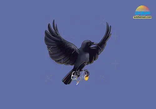  کلاغ‌ها حافظه‌ای فراتر از انتظار دارند!