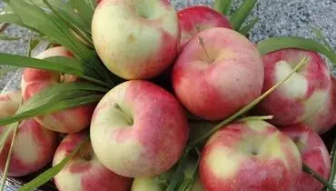 با خوردن این میوه دیگر نیازی به دکتر ندارید
