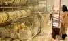 بالاترین قیمت طلا در تاریخ ایران ثبت شد + جدول