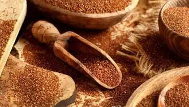 پاکسازی کبد فقط با مصرف خاکشیر