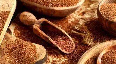 پاکسازی کبد فقط با مصرف خاکشیر