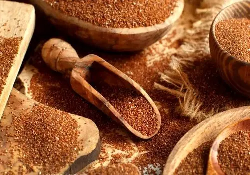 پاکسازی کبد فقط با مصرف خاکشیر