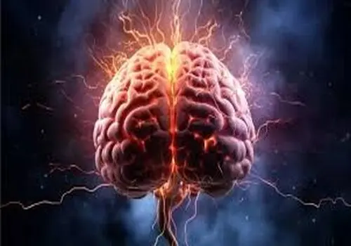 حس انجام هیچ کاری را ندارید؟ این مطلب را حتما بخوانید
