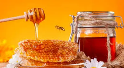 عسل : یک درمان طبیعی برای کاهش خروپف
