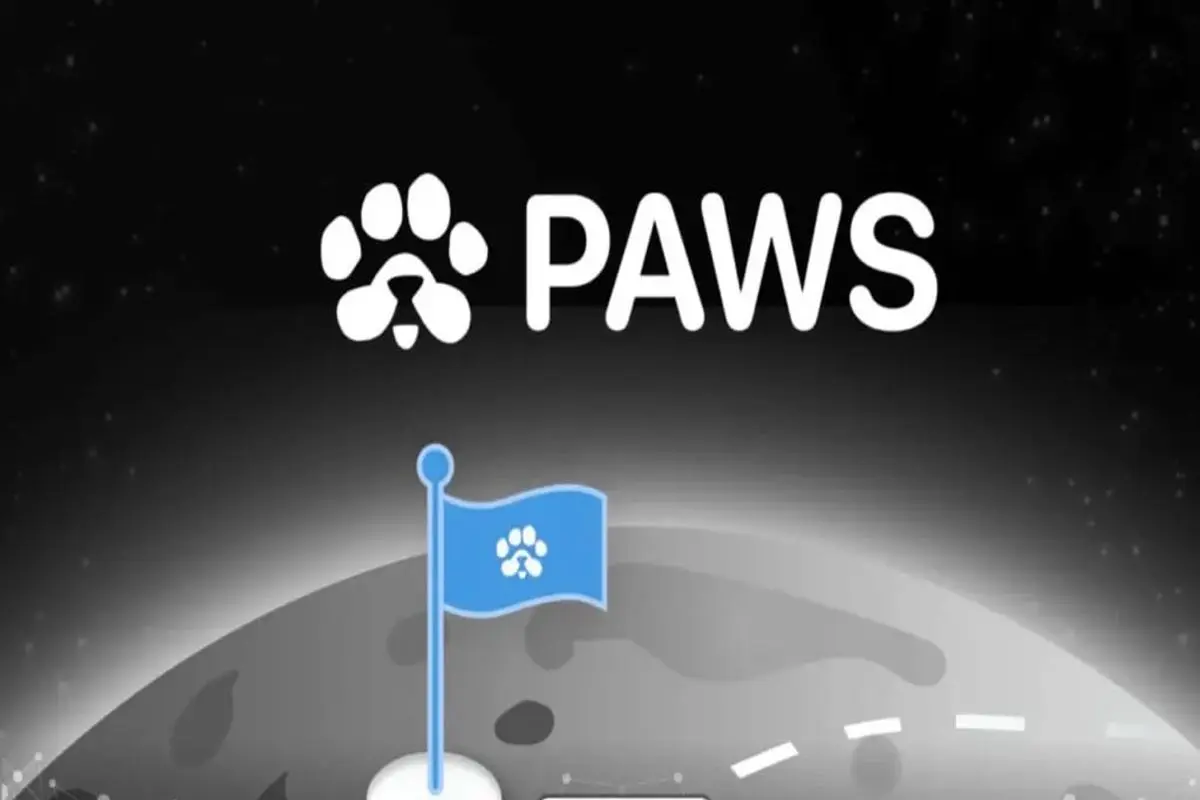 تسک جدید بازی پاوز PAWS امروز 29 آبان 1403