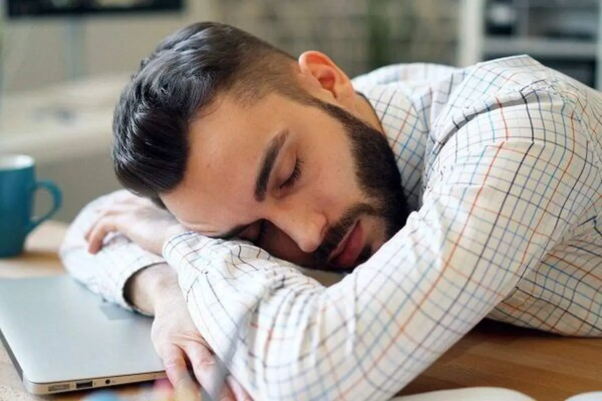 چرت علمی: چگونه خواب کوتاه حافظه، تمرکز و سلامت قلب را تقویت می‌کند