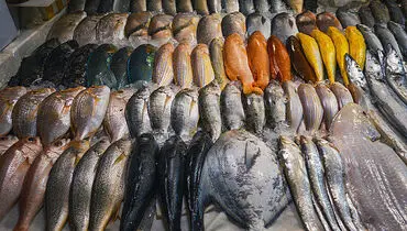کدام ماهی‌ها خطر ابتلا به سرطان را کاهش می‌دهند؟