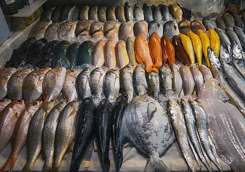 انواع سرطان روده بزرگ