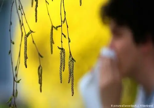 ثبت وجود یک پشه خطرناک در ۶ استان 