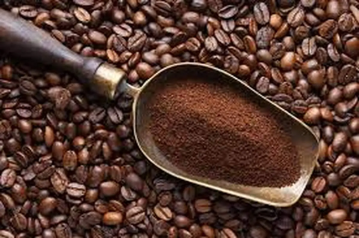 قهوه سن زیستی را کاهش می‌دهد
