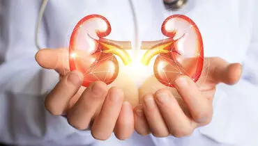 نکاتی که در رژیم غذایی برای سلامت کلیه ها باید رعایت کنید