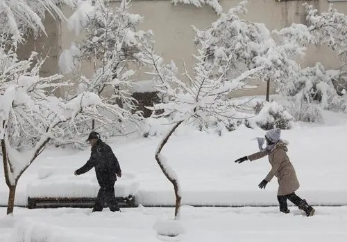 بیماران قلبی! سرما کار دست‌تان ندهد