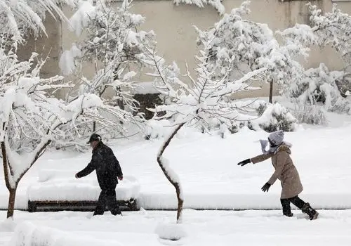 آش شوربا، غذایی مفید در سرمای زمستان