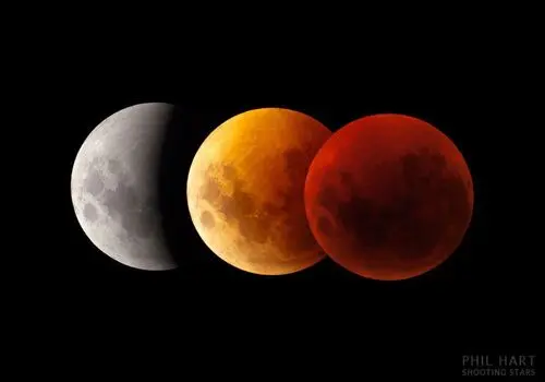 بهترین زمان برای خرید کفش از نظر یک متخصص طب فیزیکی
