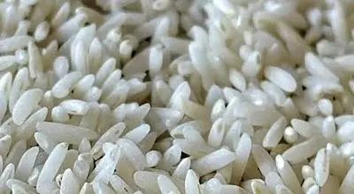 قیمت برنج دولتی مردم را شوکه کرد! 