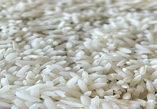 شرط ارزان شدن برنج ایرانی اعلام شد