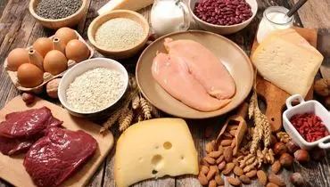 بهترین زمان برای مصرف پروتئین و تأثیر بیشتر بر عضله‌سازی