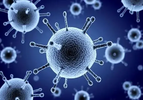 افزایش مبتلا شدن کودکان به آنفولانزا در این استان
