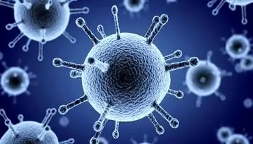 بهبود آنفولانزا با یک خوراکی ساده
