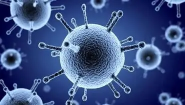 بهبود آنفولانزا با یک خوراکی ساده
