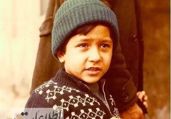 4993113